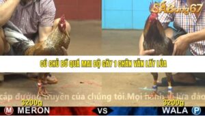 TRẬN 36 CPC4 22/11/2025