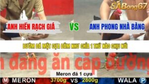 TRẬN 37 CPC5 22/11/2025