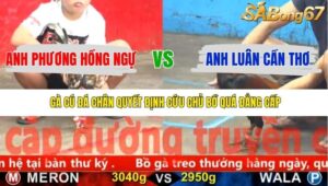 TRẬN 5 CPC5 23/11/2025