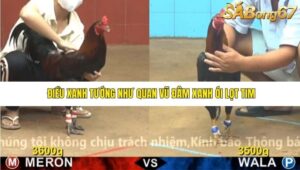 TRẬN 6 CPC4 23/11/2025