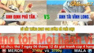 TRẬN 6 CPC5 23/11/2025