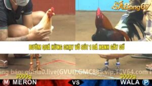 TRẬN 7 CPC4 22/11/2025