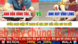 TRẬN 8 CPC5 22/11/2025