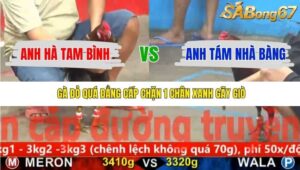 TRẬN 8 CPC5 23/11/2025