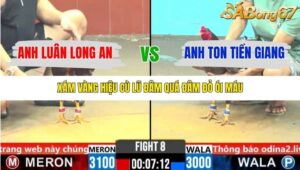 TRẬN 8 CPC6 7/11/2025