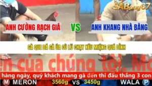 TRẬN 9 CPC5 23/11/2025