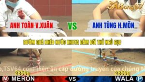 TRẬN 1 CPC4 4/11/2025