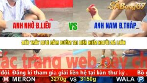 TRẬN 1 CPC5 NGÀY 9/11/2025