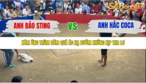 TRẬN 1 TONHON NGÀY 14/11/2025