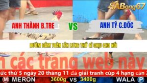 TRẬN 10 CPC5 NGÀY 15/11/2025