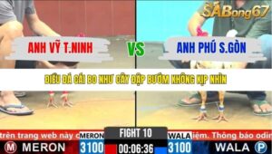 TRẬN 10 CPC6 1/11/2025