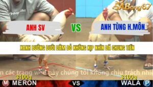 TRẬN 11 CPC4 NGÀY 24/11/2025