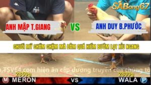 TRẬN 11 CPC4 NGÀY 25/11/2025