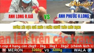 TRẬN 11 CPC5 1/11/2025