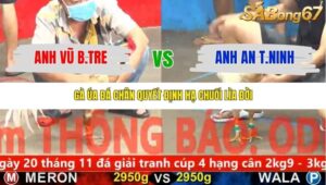 TRẬN 11 CPC5 8/11/2025