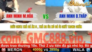 TRẬN 11 CPC5 NGÀY 12/11/2025