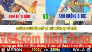 TRẬN 11 CPC5 NGÀY 21/11/2025