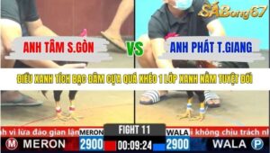 TRẬN 11 CPC6 3/11/2025