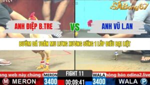 TRẬN 11 CPC6 5/11/2025