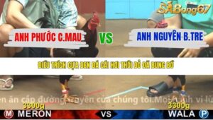 TRẬN 12 CPC4 NGÀY 17/11/2025