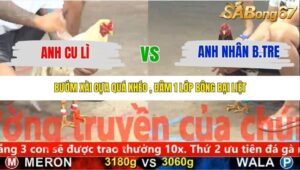 TRẬN 12 CPC5 8/11/2025