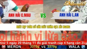 TRẬN 12 CPC5 NGÀY 16/11/2025