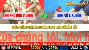 TRẬN 12 CPC5 NGÀY 17/11/2025
