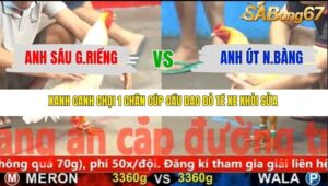 TRẬN 12 CPC5 NGÀY 19/11/2025