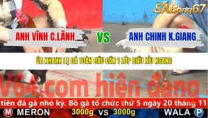 TRẬN 12 CPC5 NGÀY 9/11/2025