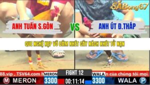 TRẬN 12 CPC6 3/11/2025