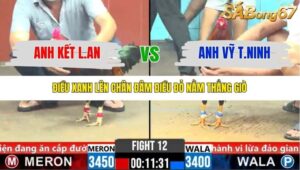 TRẬN 12 CPC6 5/11/2025