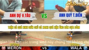 TRẬN 13 CPC4 NGÀY 16/11/2025