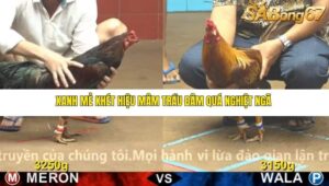 TRẬN 13 CPC4 NGÀY 18/11/2025