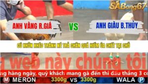 TRẬN 13 CPC5 NGÀY 18/11/2025