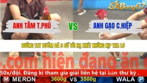 TRẬN 13 CPC5 NGÀY 20/11/2025