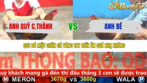 TRẬN 13 CPC5 NGÀY 21/11/2025