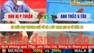 TRẬN 13 CPC5 NGÀY 9/11/2025