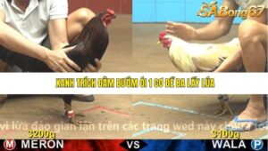 TRẬN 14 CPC4 NGÀY 24/11/2025