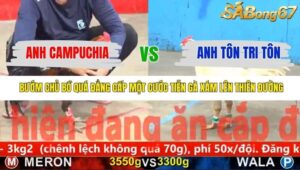 TRẬN 14 CPC5 NGÀY 10/11/2025