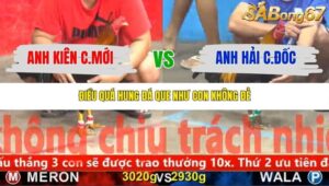 TRẬN 14 CPC5 NGÀY 11/11/2025