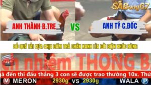 TRẬN 14 CPC5 NGÀY 15/11/2025