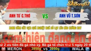 TRẬN 14 CPC5 NGÀY 20/11/2025