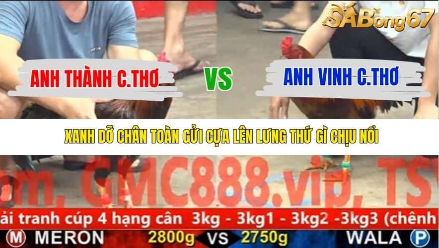 TRẬN 14 CPC5 NGÀY 25/11/2025