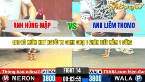 TRẬN 14 CPC6 NGÀY 1/11/2025