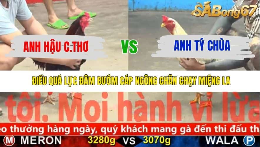 TRẬN 15 CPC5 25/11/2025