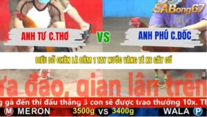 TRẬN 15 CPC5 8/11/2025