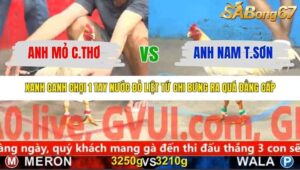 TRẬN 15 CPC5 NGÀY 11/11/2025