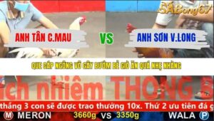 TRẬN 15 CPC5 NGÀY 17/11/2025