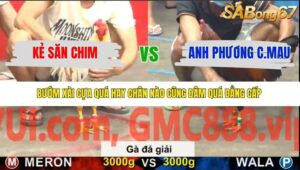 TRẬN 15 CPC5 NGÀY 20/11/2025