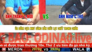 TRẬN 15 CPC5 NGÀY 21/11/2025